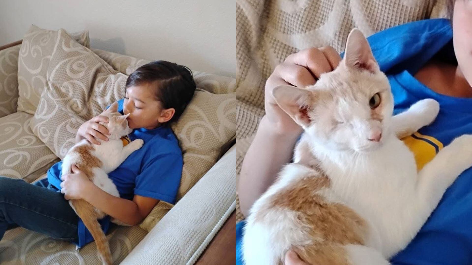 Free animal flashcards to customize and print | Canva, image size:1920x1080