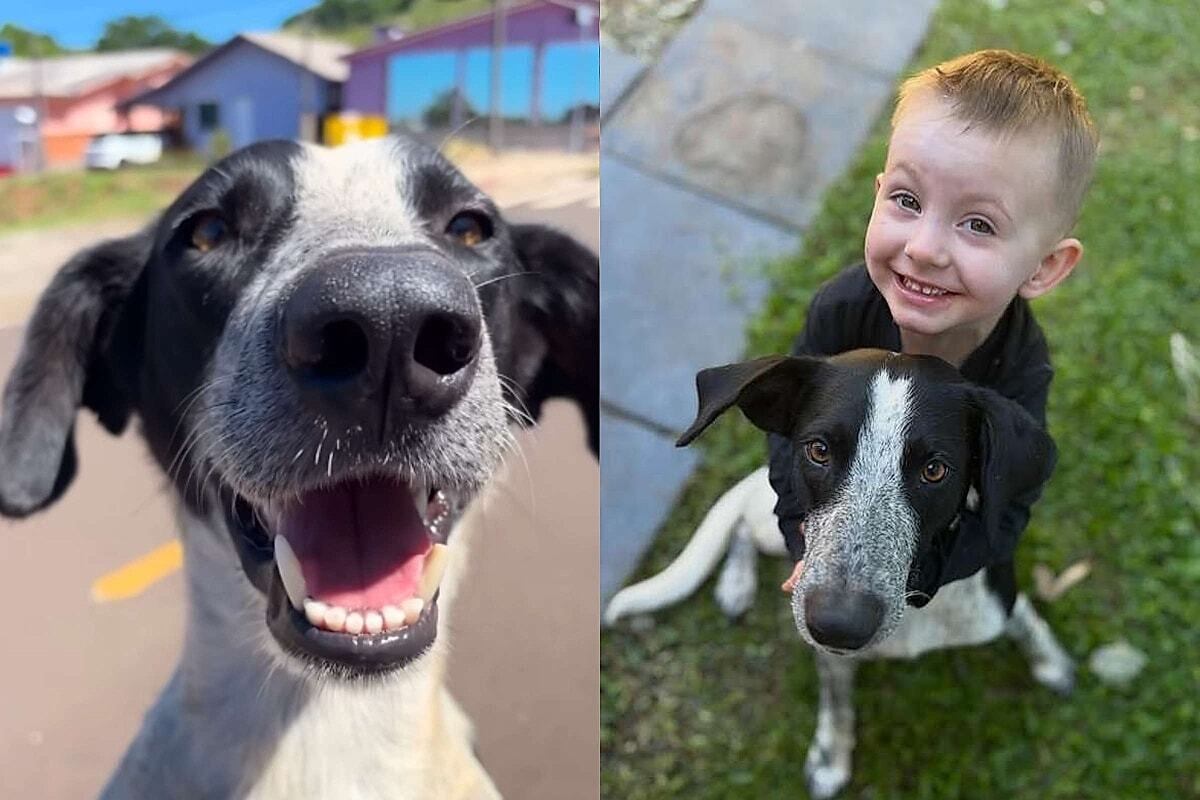 Tom Brady praised Ben Johnson for his ‘common sense’ take on the situation.  (via @Tom Brady, @Chicago Bears) #nfl #tombrady #chicagobears, image size:1200x800